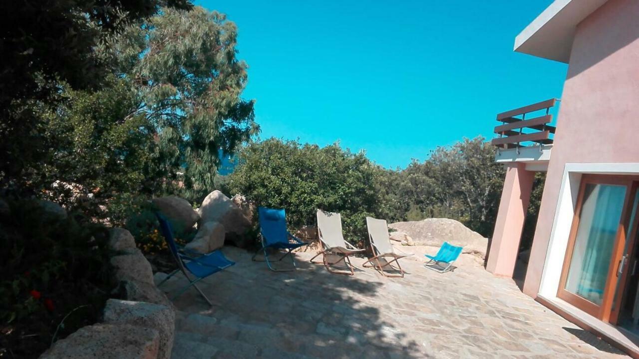 ואלה דל'אריקה מראה חיצוני תמונה